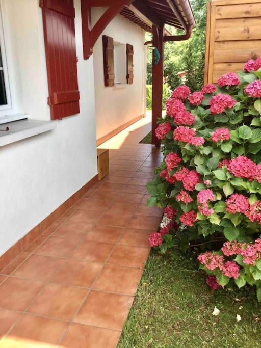 1Km Plage, Agreable Maison 6 Pers Classee 3* Hendaye Ngoại thất bức ảnh